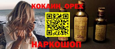 спиды Кингисепп