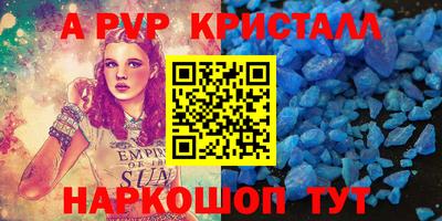 спиды Кингисепп
