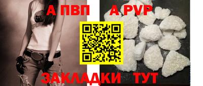 спиды Кингисепп